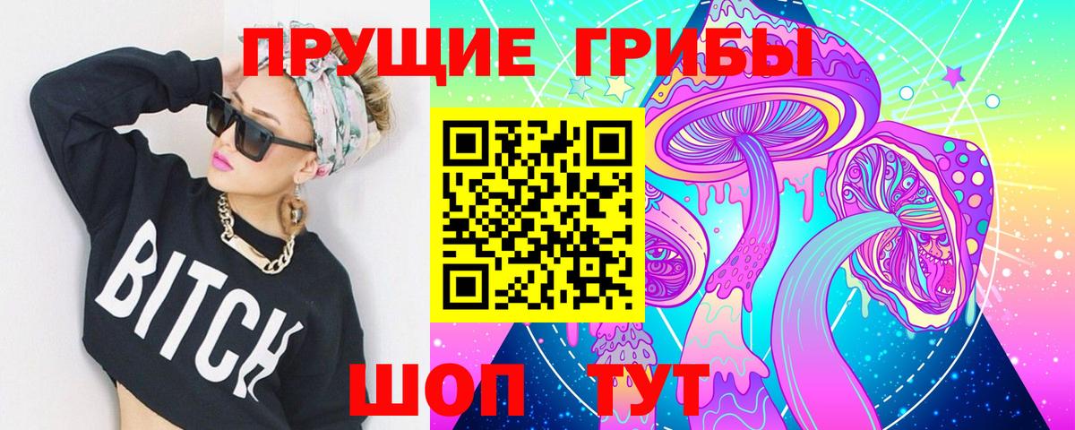Псилоцибиновые грибы Psilocybe Петрозаводск